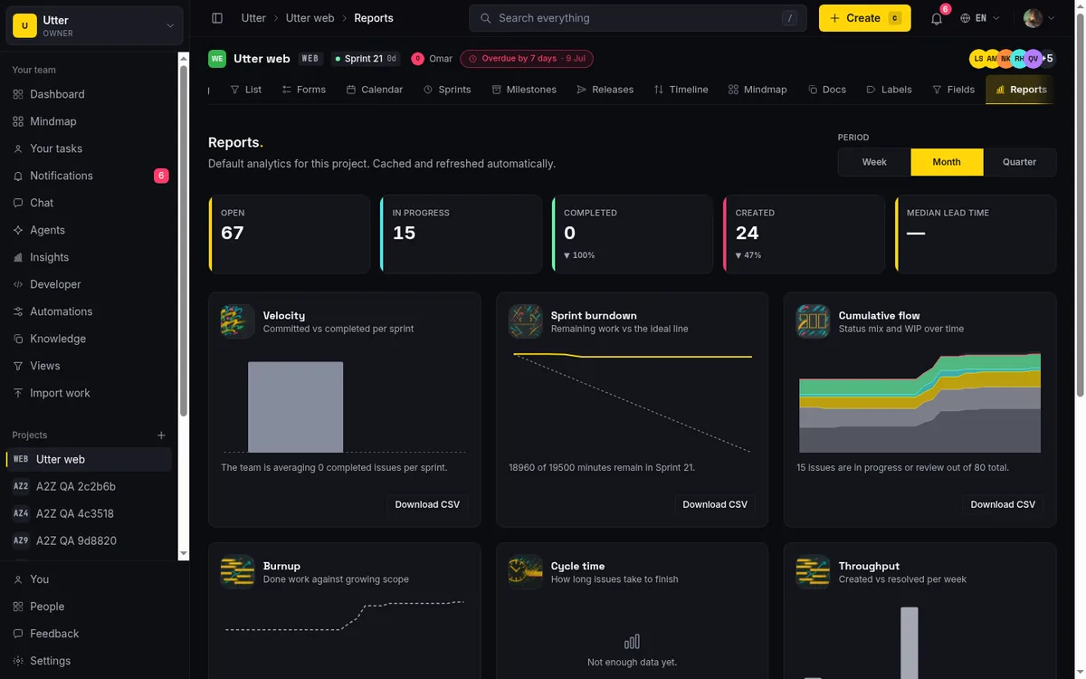 Project reports and workspace insights shown in the reports grid